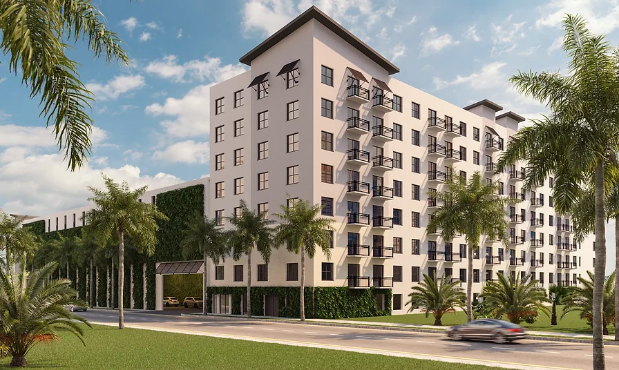 Palmera 3